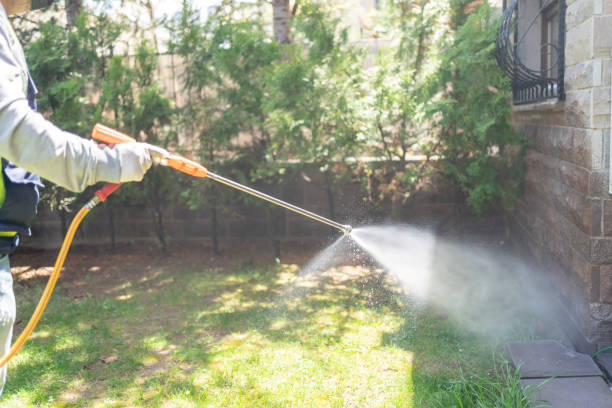 Best Residential Pest Control  in Silver Springs, FL